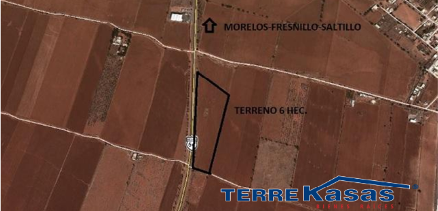 Terreno Comercial en Venta en Morelos, Zacatecas En Autopista