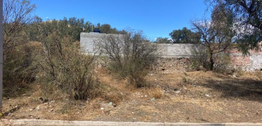 Terreno en Venta en Zacatecas, en Sauceda de la Borda