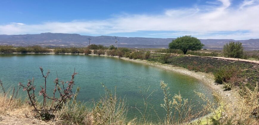 Rancho en Venta en Tabasco, Zacatecas