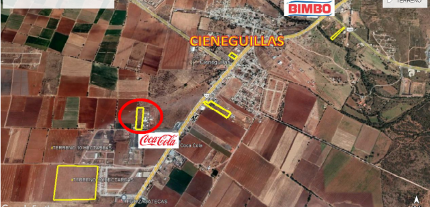 Terreno en Venta en Cieneguillas, Zacatecas cerca de la Coca Cola salida a Jerez