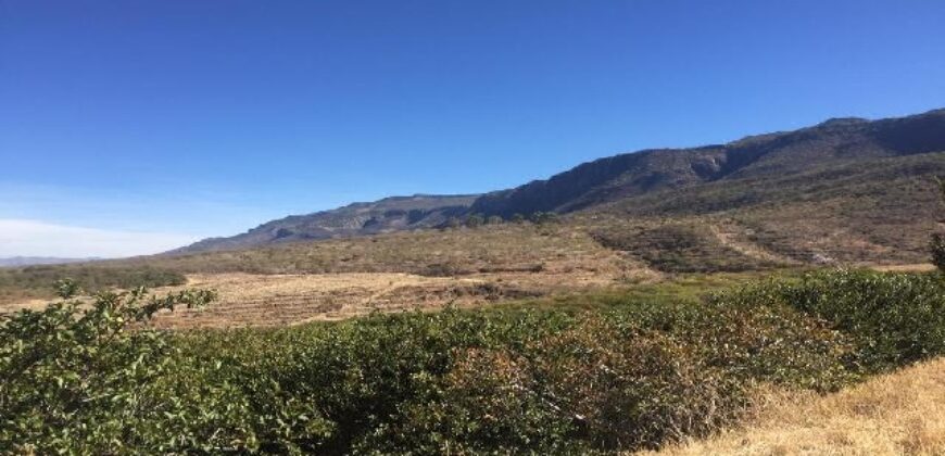 Rancho en Venta en Tabasco, Zacatecas