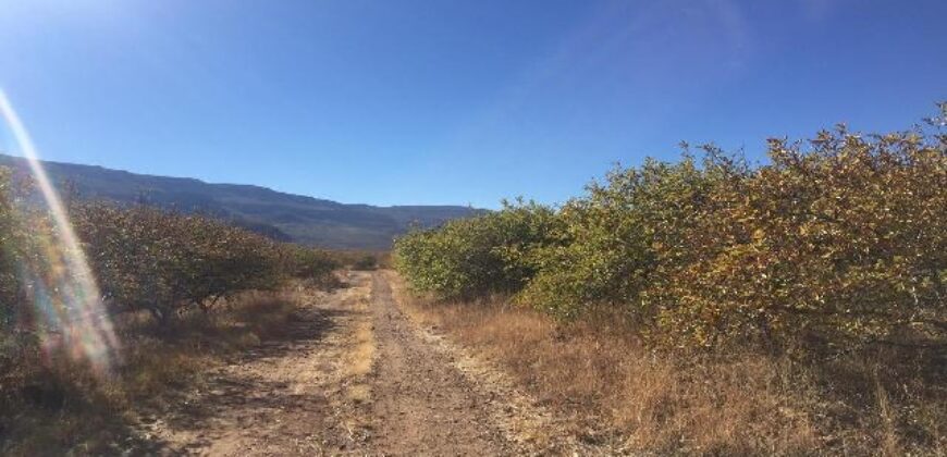 Rancho en Venta en Tabasco, Zacatecas