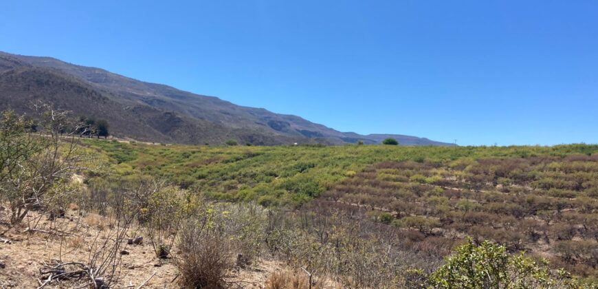 Rancho en Venta en Tabasco, Zacatecas