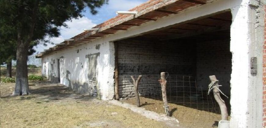 Rancho en Venta en Jerez, Zacatecas