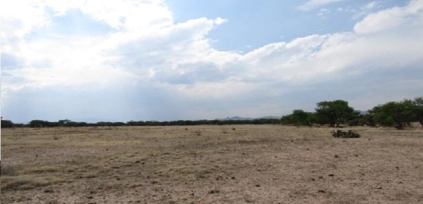 Rancho en Venta en Jerez, Zacatecas