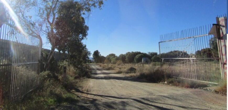 Terreno en Venta en Zacatecas, En La Escondida