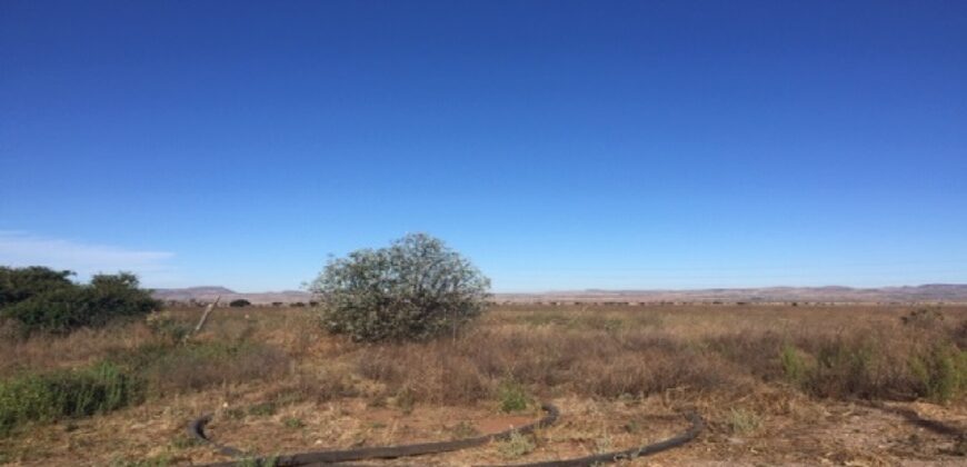 Terreno en Venta en Cieneguillas, Zacatecas cerca de la Coca Cola salida a Jerez