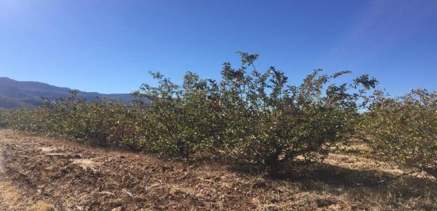 Rancho en Venta en Tabasco, Zacatecas