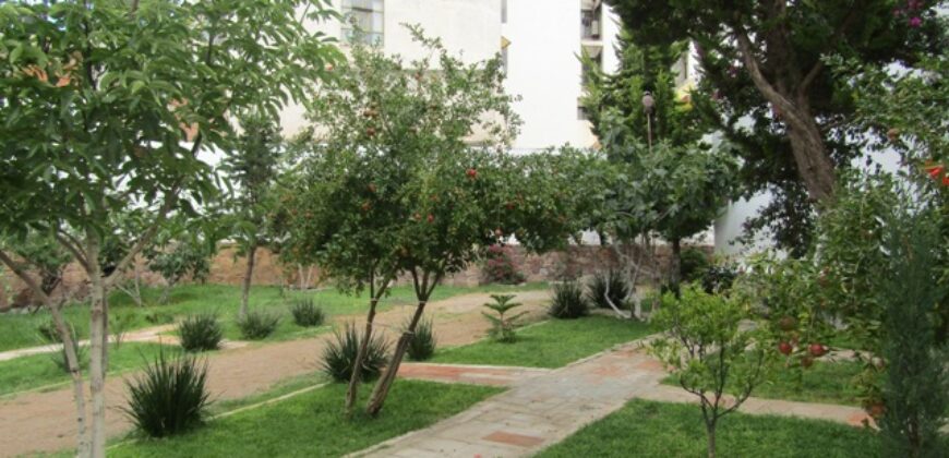 Casa con Local Comercial en Venta en Zacatecas en Colonia Sierra de Alica