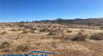 Terreno en Venta en Zacatecas, en Picones