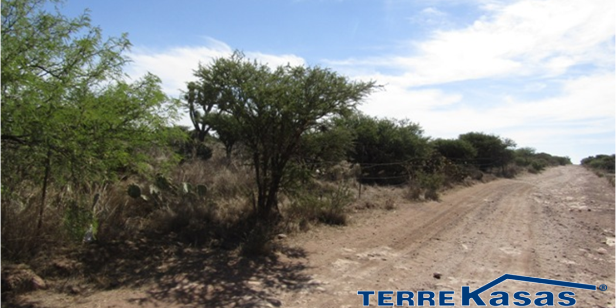 Terreno Campestre en Venta con 13 hectáreas en Guadalupe, en Ejido La Zacatecana