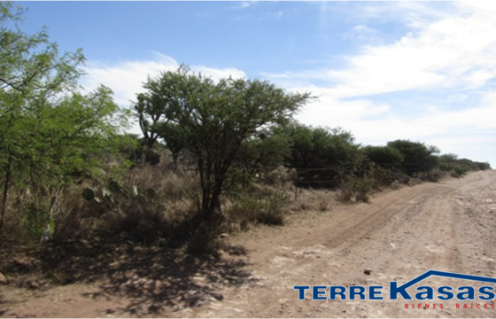 Terreno Campestre en Venta con 13 hectáreas en Guadalupe, en Ejido La Zacatecana