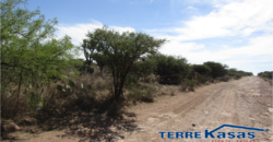 Terreno Campestre en Venta con 6.5 hectáreas en Guadalupe, en Ejido La Zacatecana