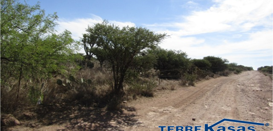 Terreno Campestre en Venta con 6.5 hectáreas en Guadalupe, en Ejido La Zacatecana