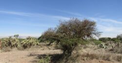 Terreno Campestre en Venta con 6.5 hectáreas en Guadalupe, en Ejido La Zacatecana