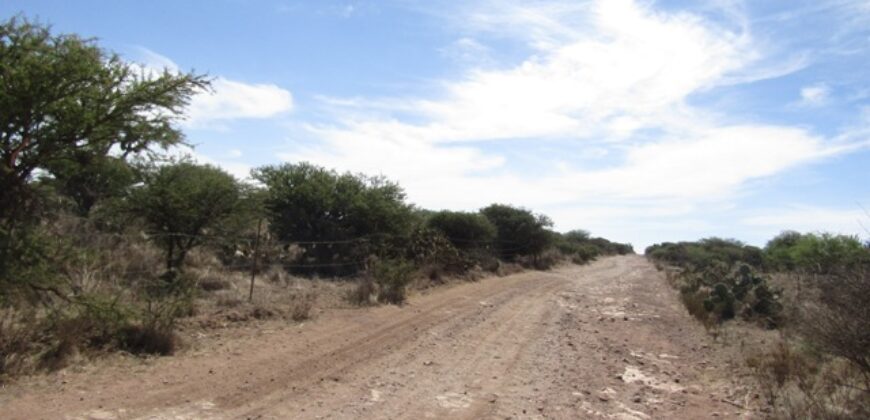 Terreno Campestre en Venta con 6.5 hectáreas en Guadalupe, en Ejido La Zacatecana