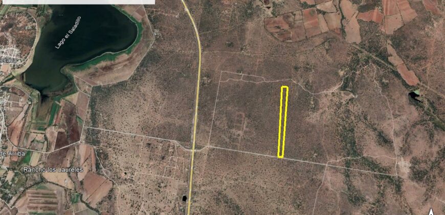 Terreno Campestre en Venta con 6.5 hectáreas en Guadalupe, en Ejido La Zacatecana