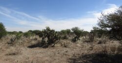 Terreno Campestre en Venta con 6.5 hectáreas en Guadalupe, en Ejido La Zacatecana