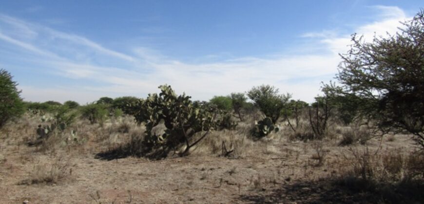 Terreno Campestre en Venta con 6.5 hectáreas en Guadalupe, en Ejido La Zacatecana