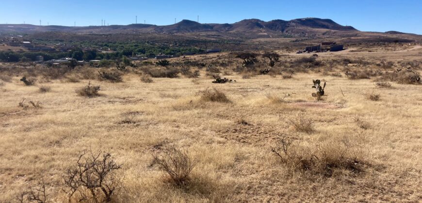 Terreno en Venta en Zacatecas, en Picones