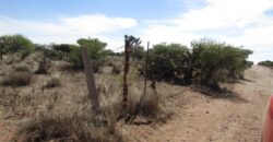 Terreno Campestre en Venta con 6.5 hectáreas en Guadalupe, en Ejido La Zacatecana