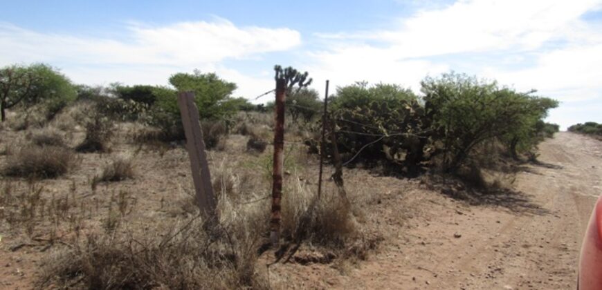 Terreno Campestre en Venta con 6.5 hectáreas en Guadalupe, en Ejido La Zacatecana