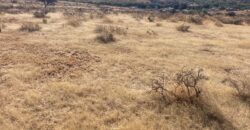 Terreno en Venta en Zacatecas, en Picones