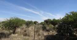 Terreno Campestre en Venta con 6.5 hectáreas en Guadalupe, en Ejido La Zacatecana