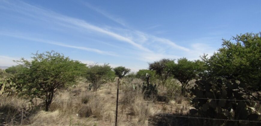 Terreno Campestre en Venta con 6.5 hectáreas en Guadalupe, en Ejido La Zacatecana