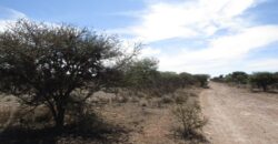 Terreno Campestre en Venta con 6.5 hectáreas en Guadalupe, en Ejido La Zacatecana