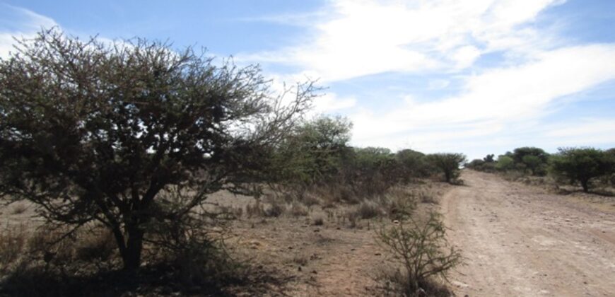 Terreno Campestre en Venta con 6.5 hectáreas en Guadalupe, en Ejido La Zacatecana