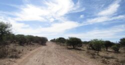 Terreno Campestre en Venta con 6.5 hectáreas en Guadalupe, en Ejido La Zacatecana