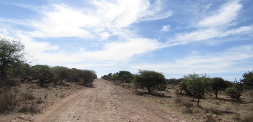 Terreno Campestre en Venta con 6.5 hectáreas en Guadalupe, en Ejido La Zacatecana