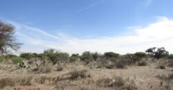 Terreno Campestre en Venta con 6.5 hectáreas en Guadalupe, en Ejido La Zacatecana