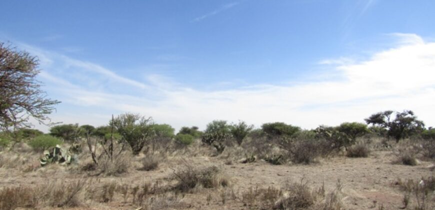 Terreno Campestre en Venta con 6.5 hectáreas en Guadalupe, en Ejido La Zacatecana