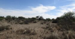 Terreno Campestre en Venta con 6.5 hectáreas en Guadalupe, en Ejido La Zacatecana