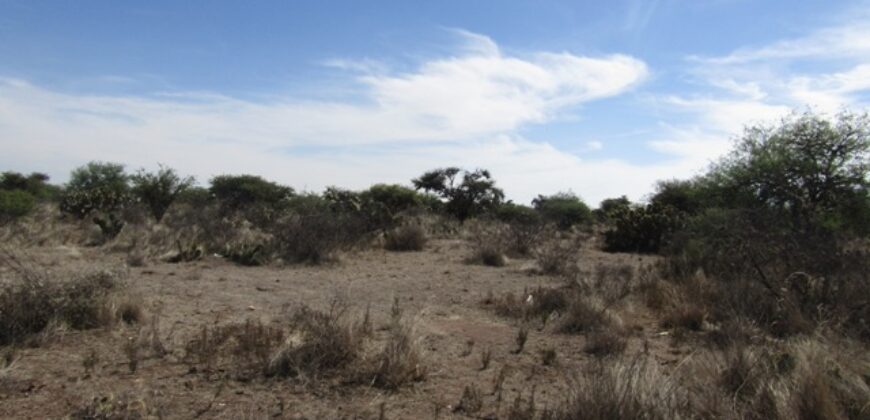 Terreno Campestre en Venta con 6.5 hectáreas en Guadalupe, en Ejido La Zacatecana