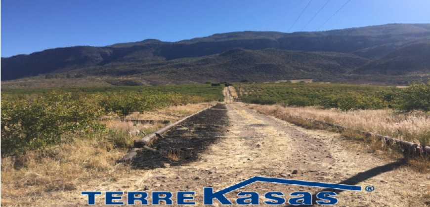 Rancho en Venta en Tabasco, Zacatecas