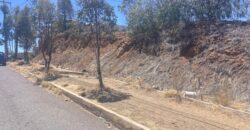 Terreno en Venta en Zacatecas en Fraccionamiento La Cañada