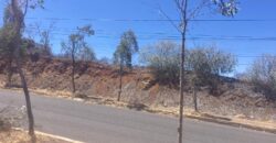 Terreno en Venta en Zacatecas en Fraccionamiento La Cañada