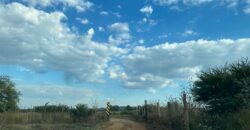 Terreno Campestre en Venta en Guadalupe, en San Jerónimo