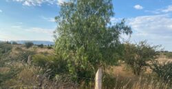 Terreno Campestre en Venta en Guadalupe, en San Jerónimo