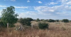 Terreno Campestre en Venta en Guadalupe, en San Jerónimo