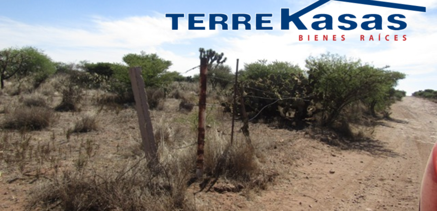 Terreno Campestre en Venta con 13 hectáreas en Guadalupe, en Ejido La Zacatecana