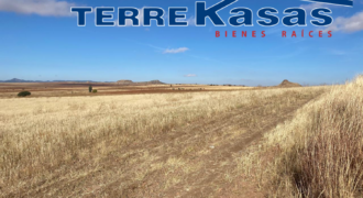 Terreno de Temporal en Venta en Colonia González Ortega, Sombrerete