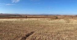 Terreno de Temporal en Venta en Colonia González Ortega, Sombrerete