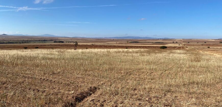 Terreno de Temporal en Venta en Colonia González Ortega, Sombrerete