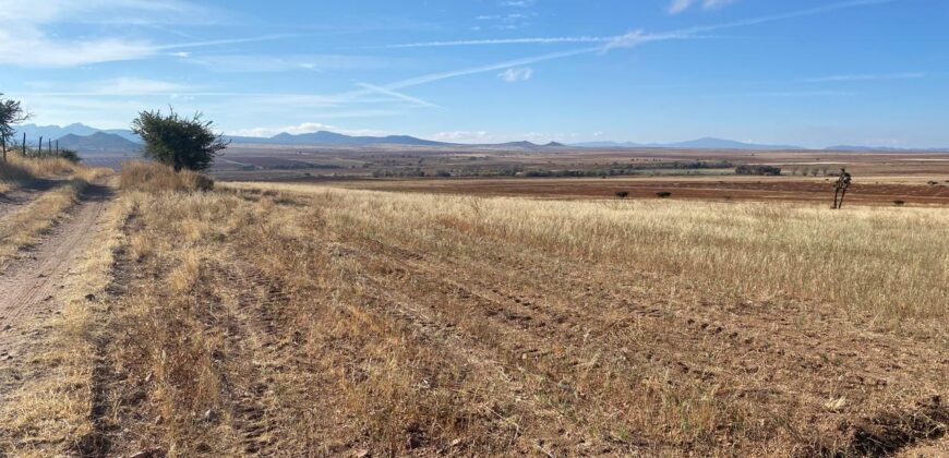 Terreno de Temporal en Venta en Colonia González Ortega, Sombrerete