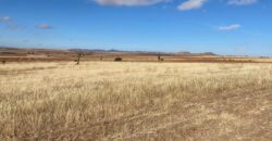 Terreno de Temporal en Venta en Colonia González Ortega, Sombrerete