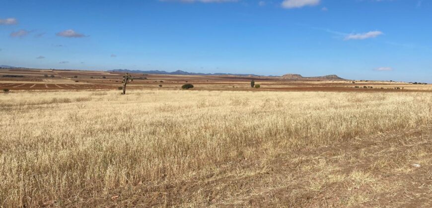 Terreno de Temporal en Venta en Colonia González Ortega, Sombrerete